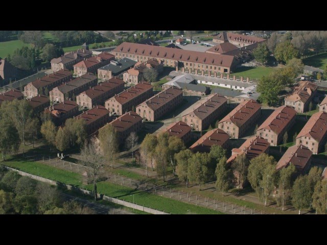 Watch Auschwitz: A Film by James Moll on YouTube.