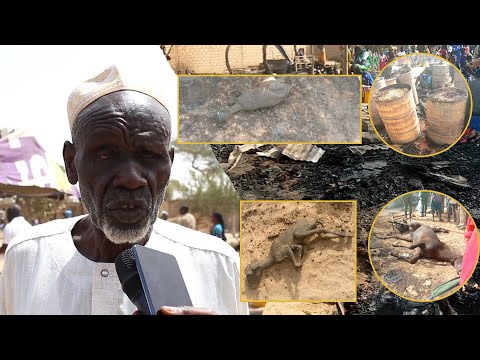 Urgent - Grave incendie à Touba Toul : Les victimes constatent les dégâts avec tristesse ...