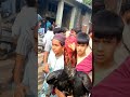 Aseel lakha murga top quality aseel murga| Prayag animal lovers 😍