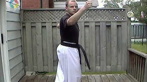 Taekwondo: Hapkido: Foundations: Jumping back-fist side strike (front view)