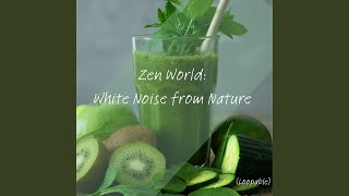 Serene Sanctuary: White Noise Yoga Flow (Loopable Sequence)