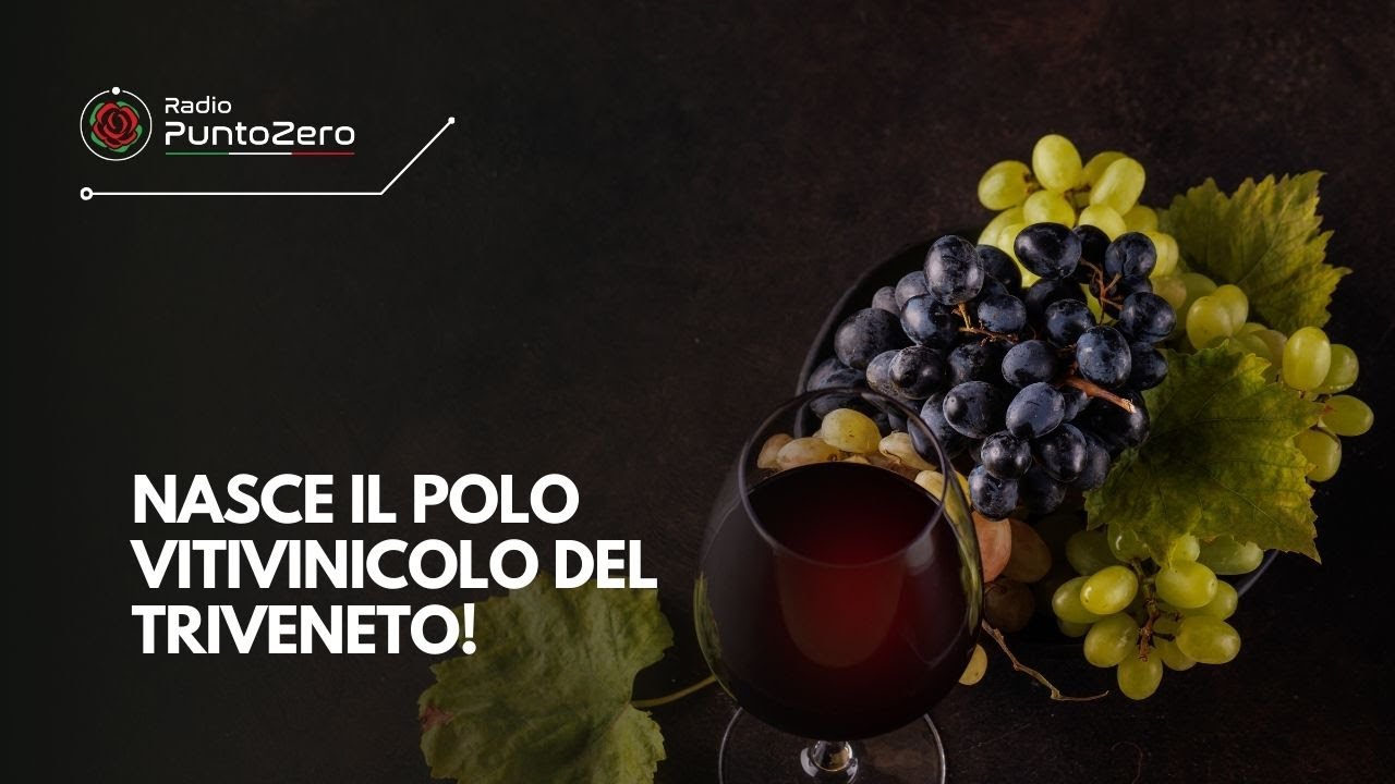 Nasce il Polo Vitivinicolo del Triveneto! 🍷