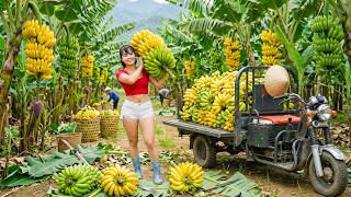Huge Banana Harvest | Tiny 3-Wheeled Truck Carries a Huge Load to the Village Market