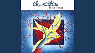 Senin Hikayen Resimi