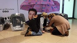 Hundeliebe Grenzenlos E V Topic Youtube