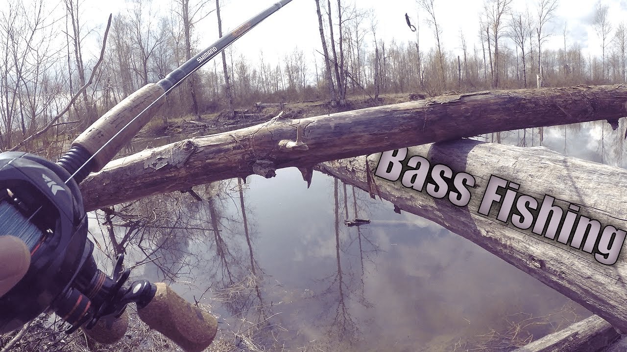 First Largemouth Bass In Oregon 2019 Finally! YouTube