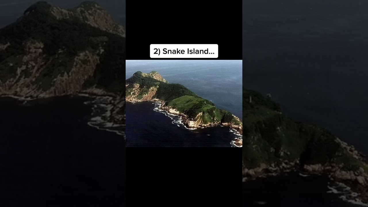 Islands that are infested with animals ?  | Credits : officialvory