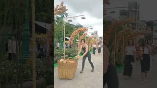 lễ hội bánh mì