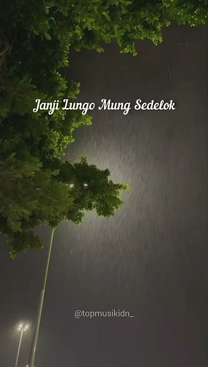 Stasiun Balapan - Denny Caknan ( Lyric ) #shorts #stasiunbalapan #dennycaknan #topmusikidn