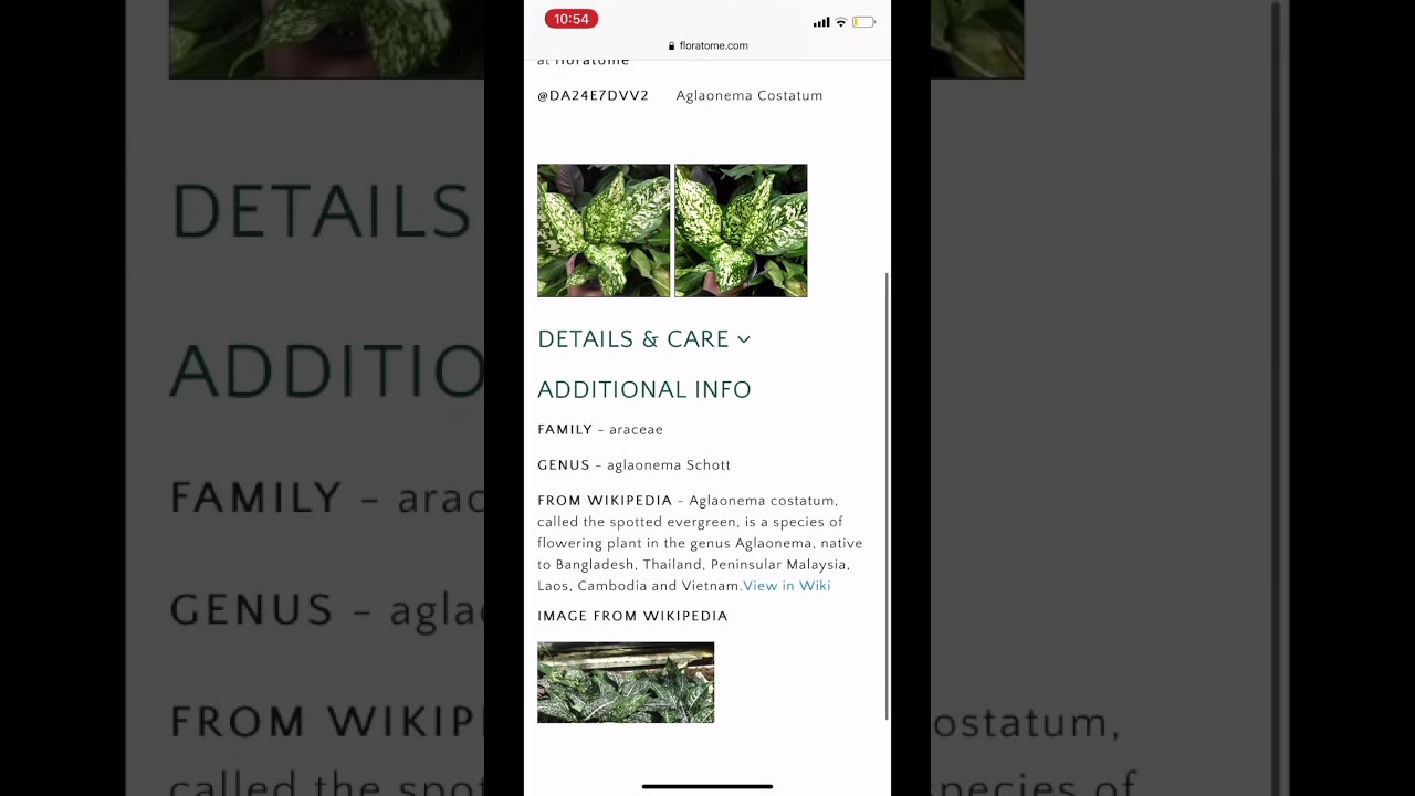 Floratome - QR Smart Plant Tags | AI-Based Plant Identification | Caring Tips | HD Image Storage