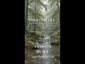 Calm BGM for Anxiety Relief & Inner Peace #Shorts