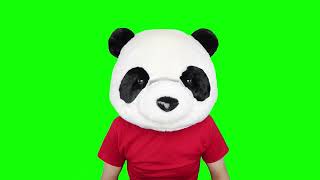 Nikocado Avocado Always 2 Steps Ahead Meme Green Screen