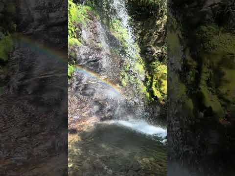 【滝めぐり】④「布水の滝（ぬのみずのたき）」滝壺から🌈虹を見る！【2024/12/04】熊本県球磨郡あさぎり町 #waterfall