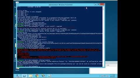 Flask Setup in Window Server Environment