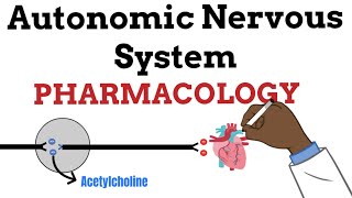 Introduction to  Autonomic Nervous System Pharmacology
