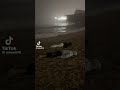 tiktok: junyu398 // #goviral #relatable #tiktokfyp #shortsfeed #frankocean