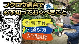 ★フクロウ飼育【必ず知っておくべきこと】選び方、注意点、飼育道具、フライト初期訓練方法@ZOO TIME ★フクロウ飼育【必ず知っておくべきこと】選び方、注意点、飼育道具、フライト初期訓練方法@ZOO TIME