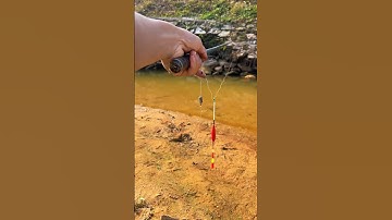 Câu cá suối bằng mồi giun #fishing #cauca