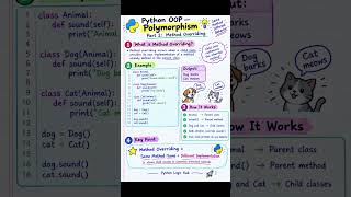 Python OOP: Method Overriding | Polymorphism