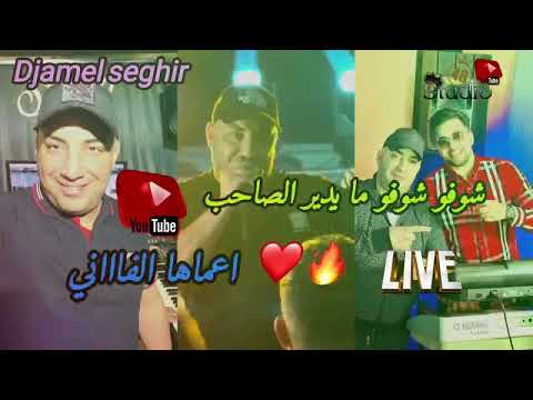 Djamel Seghir 2025 Live Officielle شوفو شوفو ما يدير الصاحب Amaha Lfani Abonnés Sur La Chaîne