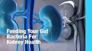 Feeding Your Gut Bacteria For Kidney Health