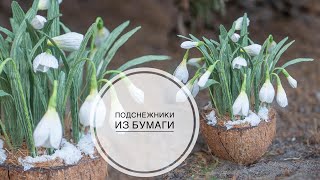 Snowdrops in COCONUT / PAPER FLOWERS / Подснежники в КОКОСЕ / БУМАЖНЫЕ ЦВЕТЫ / DIY TSVORIC