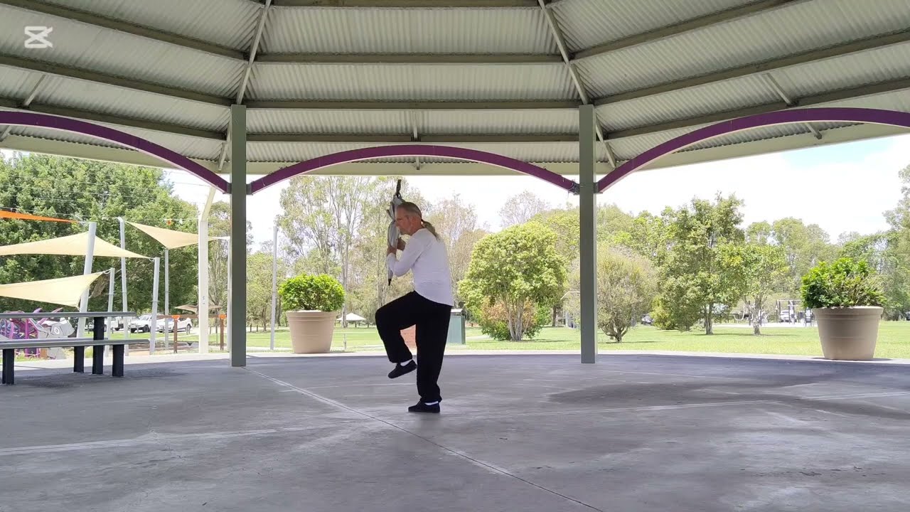 TAI CHI 13 UMBRELLA FORM.