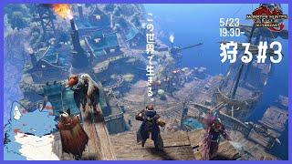 約1ヶ月留守にした村の荒れ具合調査　-モンハンライズ/サンブレイク part3