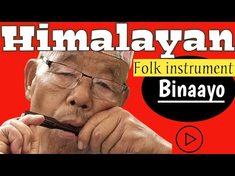 HIMALAYAN FOLK | INSTRUMENT BINAAYO | PC LIMBU | - YouTube