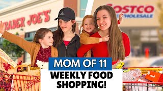 MOM OF 11: FOOD SHOPPING / LARGE FAMILY GROCERY HAUL