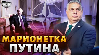 Орбан - марионетка Путина. Такого позора еще не было! Его слова взбесили Венгрию