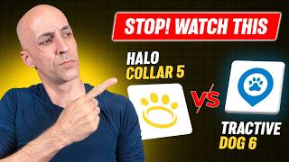 Halo Collar 5 vs Tractive DOG 6 GPS Tracker The Difference You Don t See on the Box