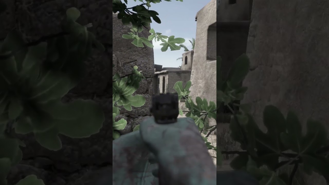 The Perfect DayZ Shot