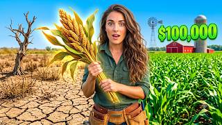 This ONE Forgotten Crop Made Me $100,000 on Dead Soil