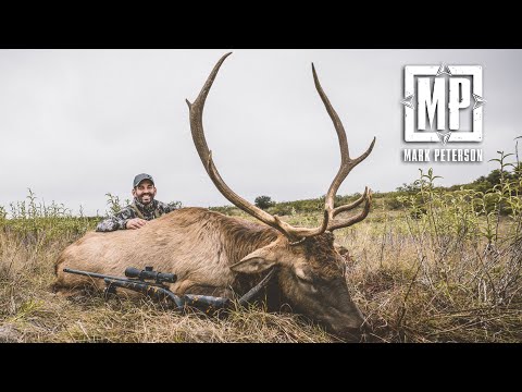 Free Range Texas Elk ( N0 TAG NEEDED) | Mark V. Peterson Hunting