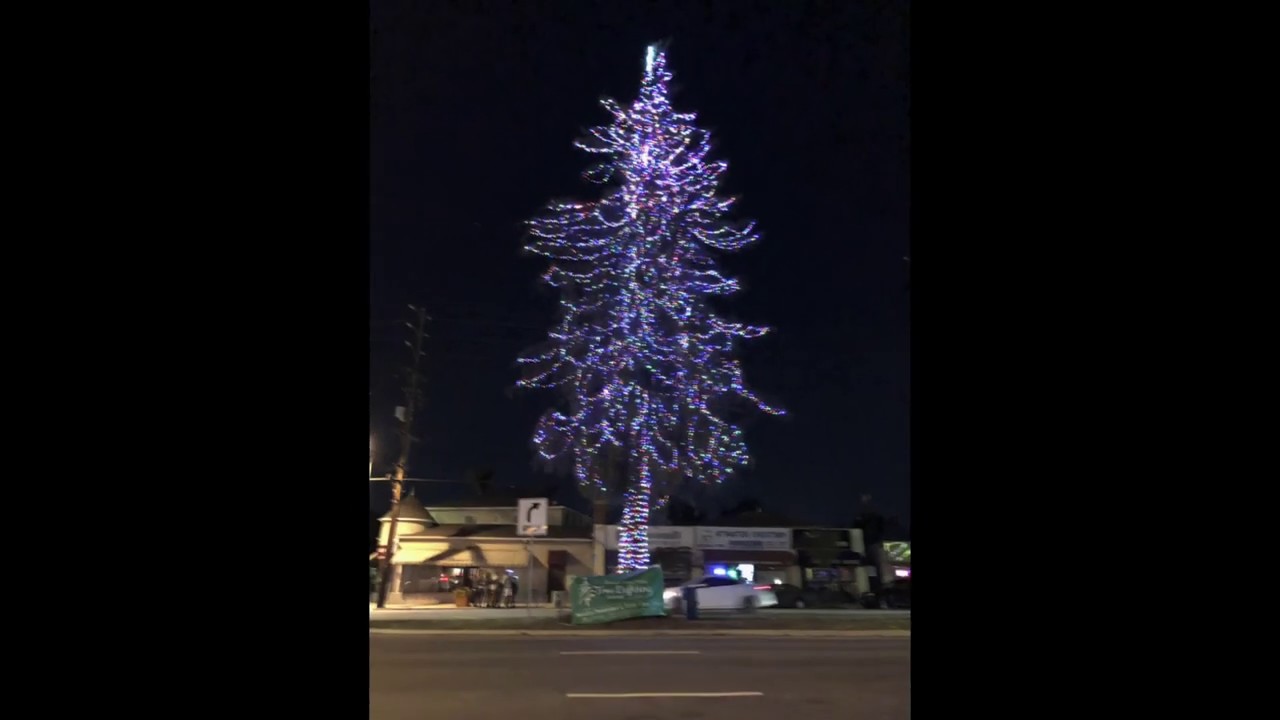 Atwater Village Christmas Tree YouTube