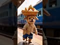 dil jit liya is pyaare se dog ne #comedy #funny #viralreels #trending #song #animals #baby #love