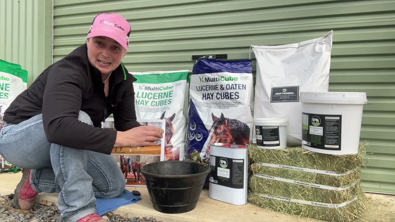 In the Feed Room: Take a behind-the-scenes look at what Dr Sabine Ware feeds her horses.
