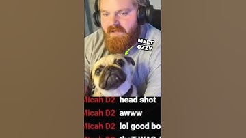 His intrusive thoughts won #gaming #dogshorts #funny #shortsfeed