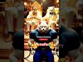 Mafia Kidnaps a Kitten..But They Didn’t Expect the Father’s Revenge 😱🔥#shorts #viral #ai
