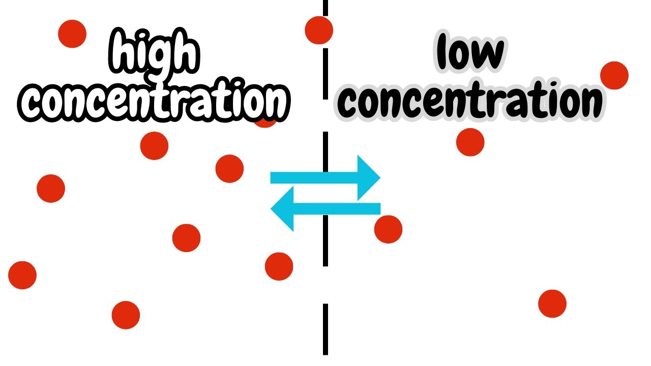 Diffusion | Osmosis | Active Transport