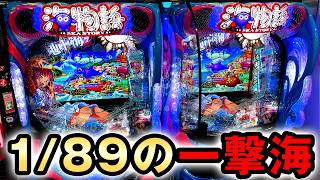 【パチンコ実機】入手困難で貴重な沖海2（甘） 海物語IN地中海2（ラッキートリガー）解析情報サイト｜地中海2