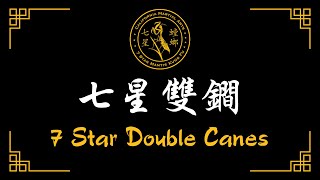 7 Star Double Canes Walkthrough 七星双锏
