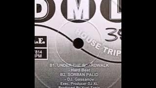 Sorban Palid (Remix By Gassanov)