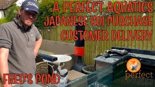 Japanese Koi, Customer Delivery  2700k Pond