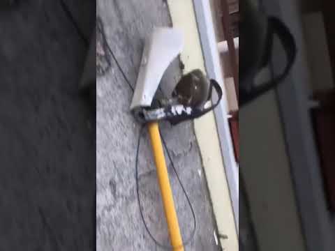 Palo caduto vento smav