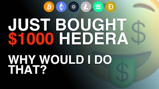 JUST BOUGHT $1000 HEDERA HASHGRAPH! Why Would I Do That?