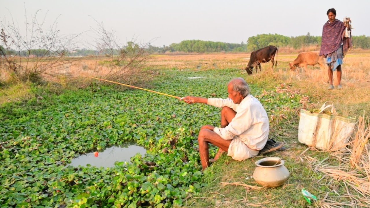 Fishing Video || Grandpa's fishing technique is different and more effective than everyone else's