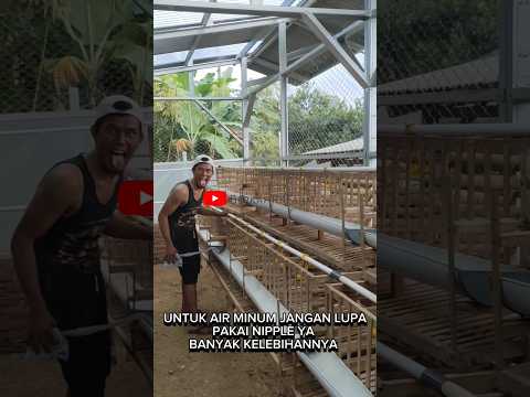 KANDANG AYAM BATERAI