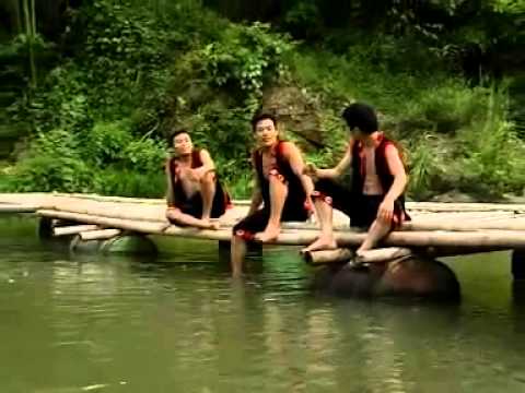 Video Trai Rừng - youtube